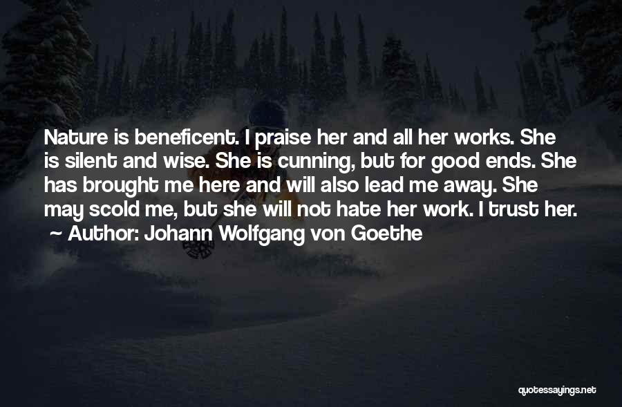 She Is Hate Me Quotes By Johann Wolfgang Von Goethe