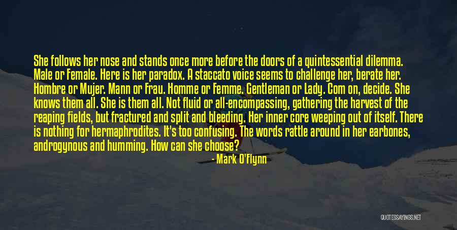She Is Here Quotes By Mark O'Flynn She Is Here Quotes By Mark O'Flynn