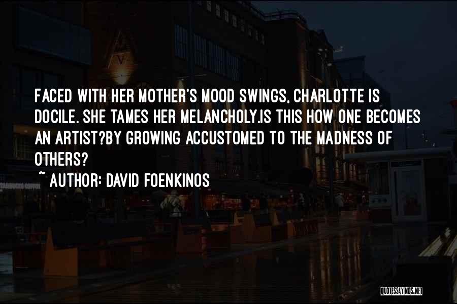 She Is Madness Quotes By David Foenkinos