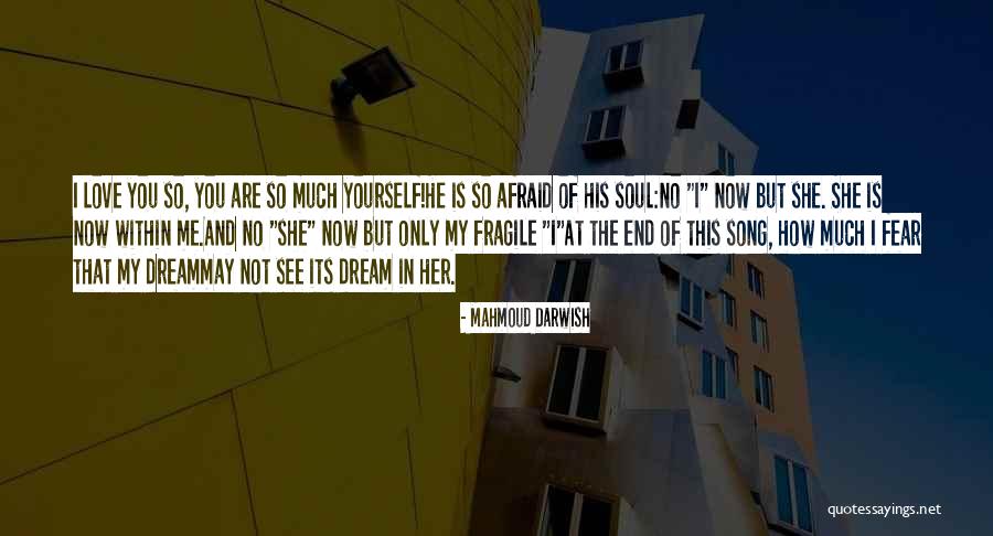 She Is Not Fragile Quotes By Mahmoud Darwish She Is Not Fragile Quotes By Mahmoud Darwish