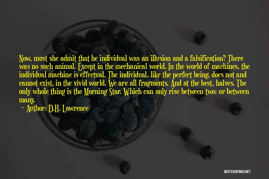 She Is Not Perfect Quotes By D.H. Lawrence