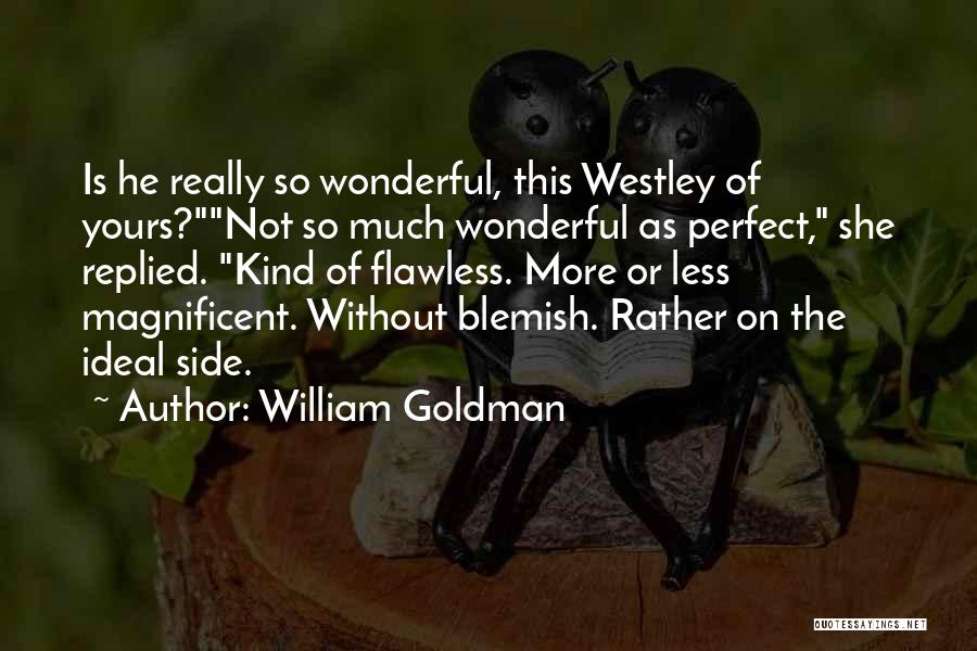 She Is Not Perfect Quotes By William Goldman
