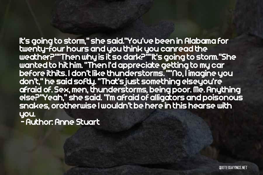 She Is The Storm Quotes By Anne Stuart