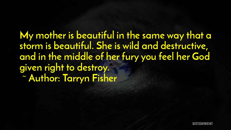 She Is The Storm Quotes By Tarryn Fisher