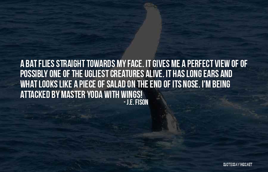 She Looks So Perfect Quotes By J.E. Fison She Looks So Perfect Quotes By J.E. Fison