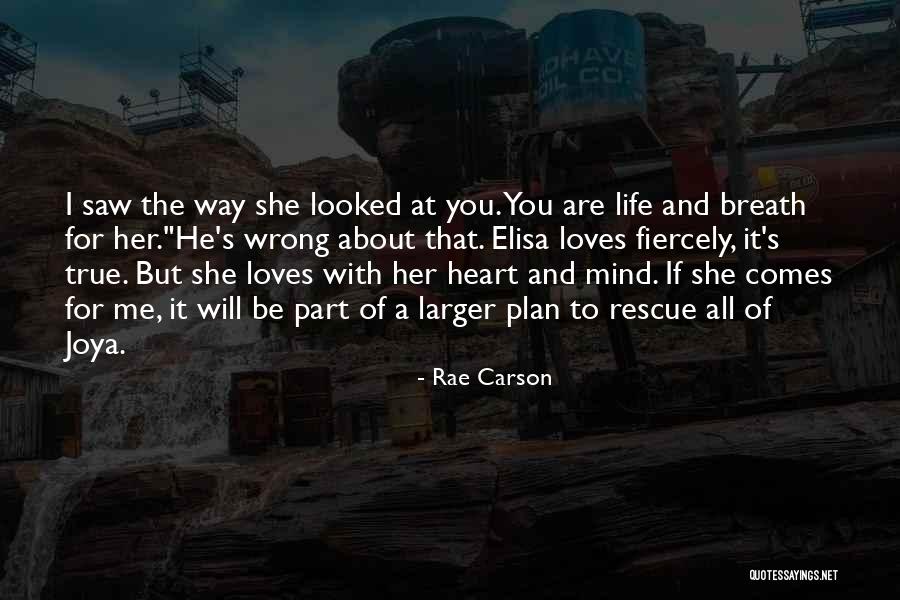 She Loves Me For Me Quotes By Rae Carson