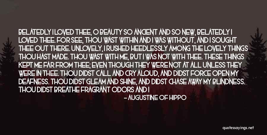 She Made Me Cry Quotes By Augustine Of Hippo