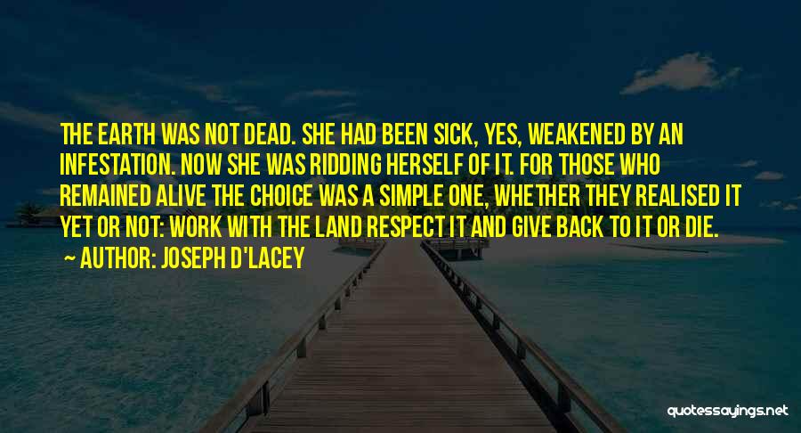 She Realised Quotes By Joseph D'Lacey