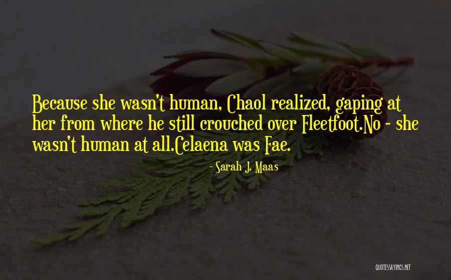 She Realized Quotes By Sarah J. Maas She Realized Quotes By Sarah J. Maas