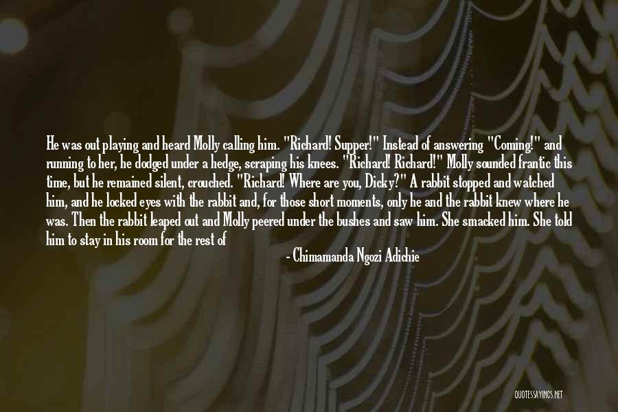 She Said And He Said Quotes By Chimamanda Ngozi Adichie She Said And He Said Quotes By Chimamanda Ngozi Adichie
