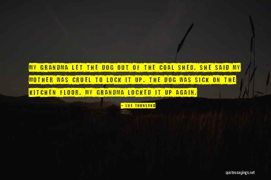 She Shed Quotes By Sue Townsend She Shed Quotes By Sue Townsend
