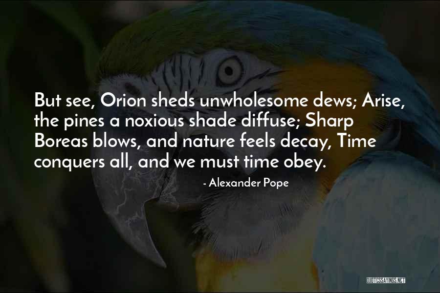 She Sheds Quotes By Alexander Pope She Sheds Quotes By Alexander Pope