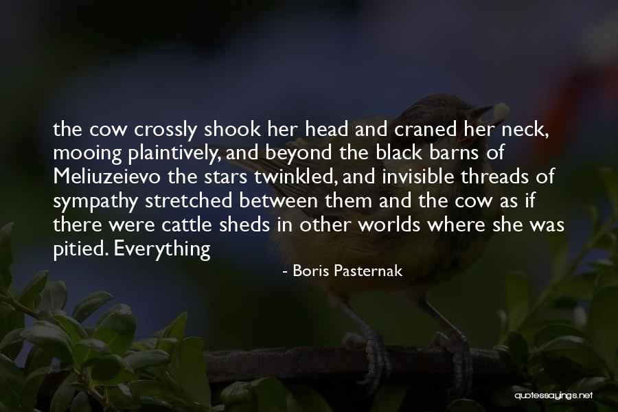 She Sheds Quotes By Boris Pasternak She Sheds Quotes By Boris Pasternak