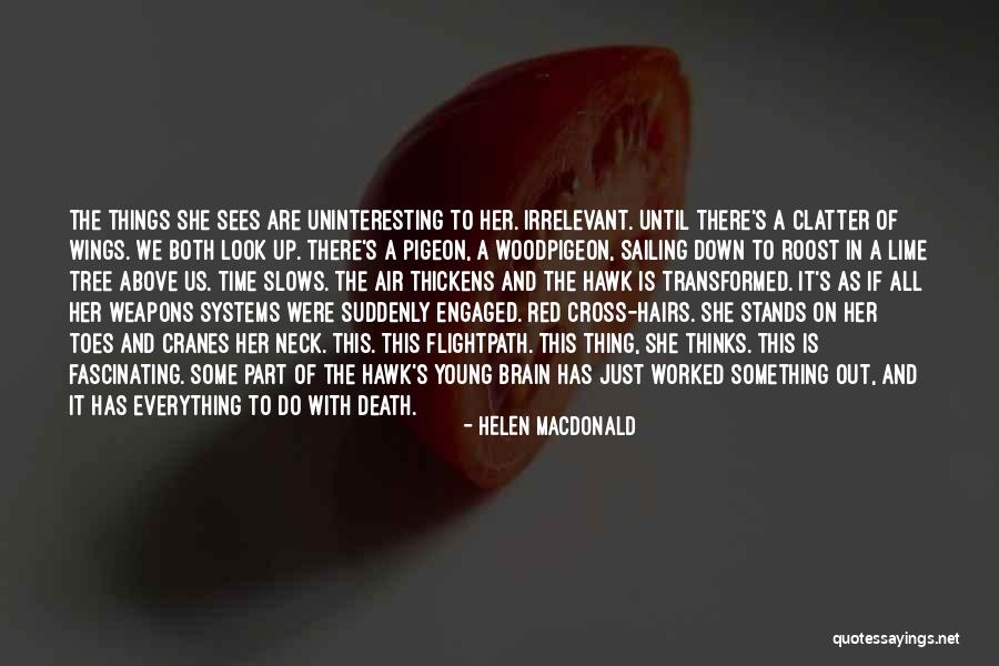 She Stands Out Quotes By Helen Macdonald