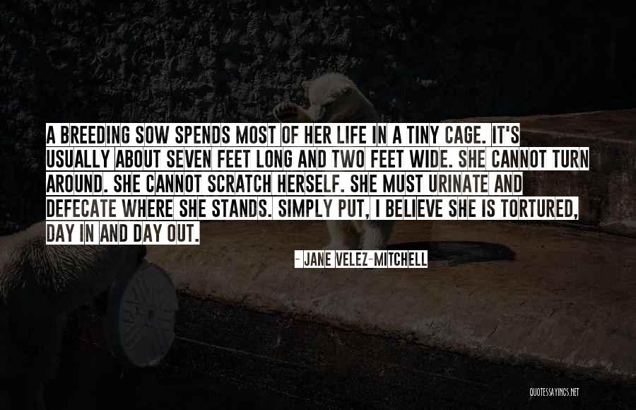 She Stands Out Quotes By Jane Velez-Mitchell She Stands Out Quotes By Jane Velez-Mitchell
