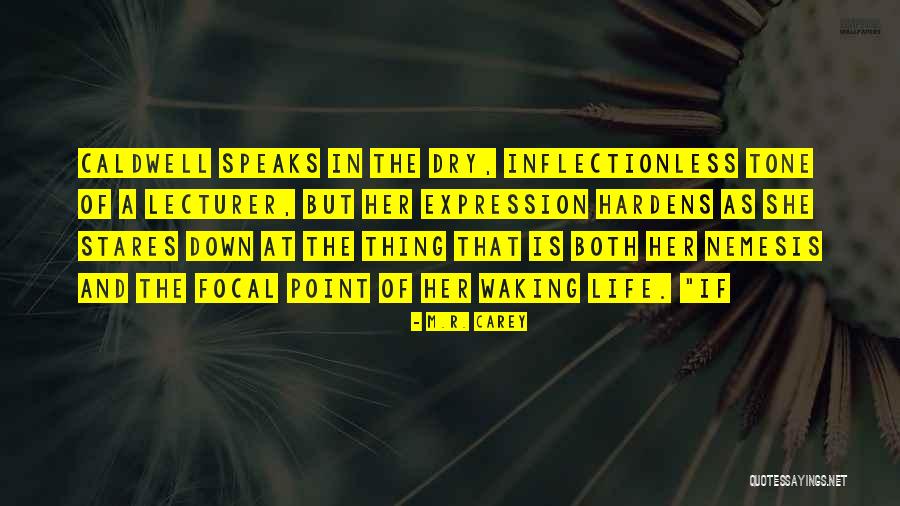 She Stares Quotes By M.R. Carey She Stares Quotes By M.R. Carey