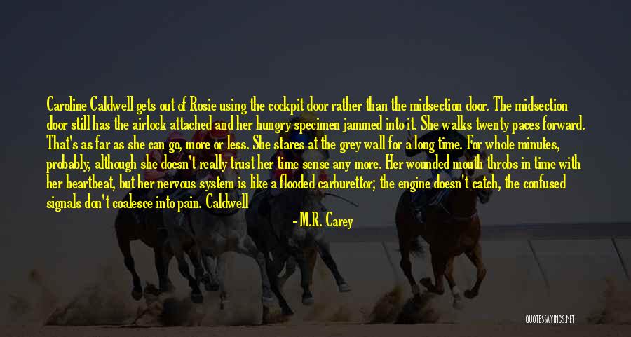 She Stares Quotes By M.R. Carey She Stares Quotes By M.R. Carey