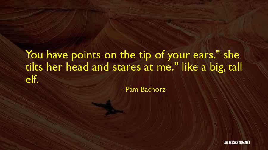 She Stares Quotes By Pam Bachorz She Stares Quotes By Pam Bachorz