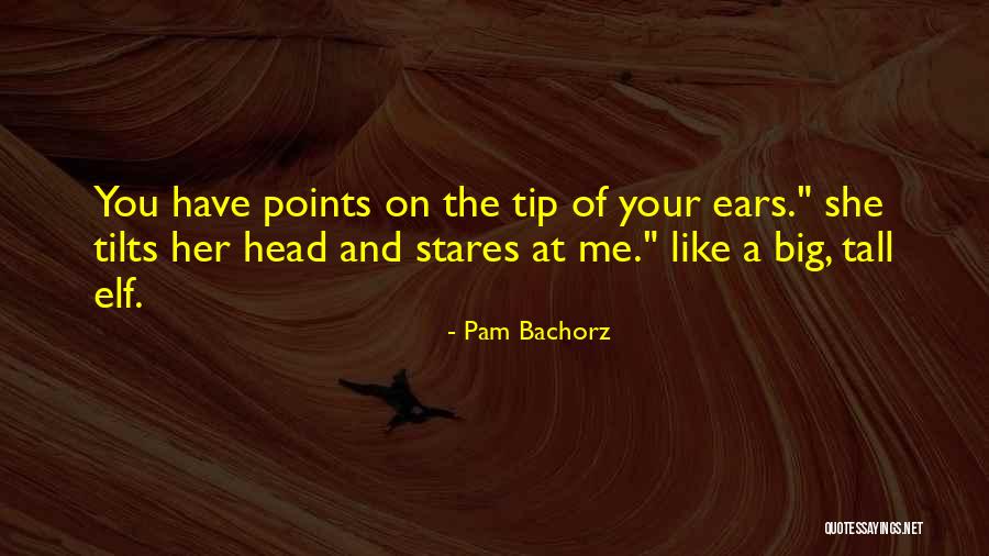 She Stares Quotes By Pam Bachorz