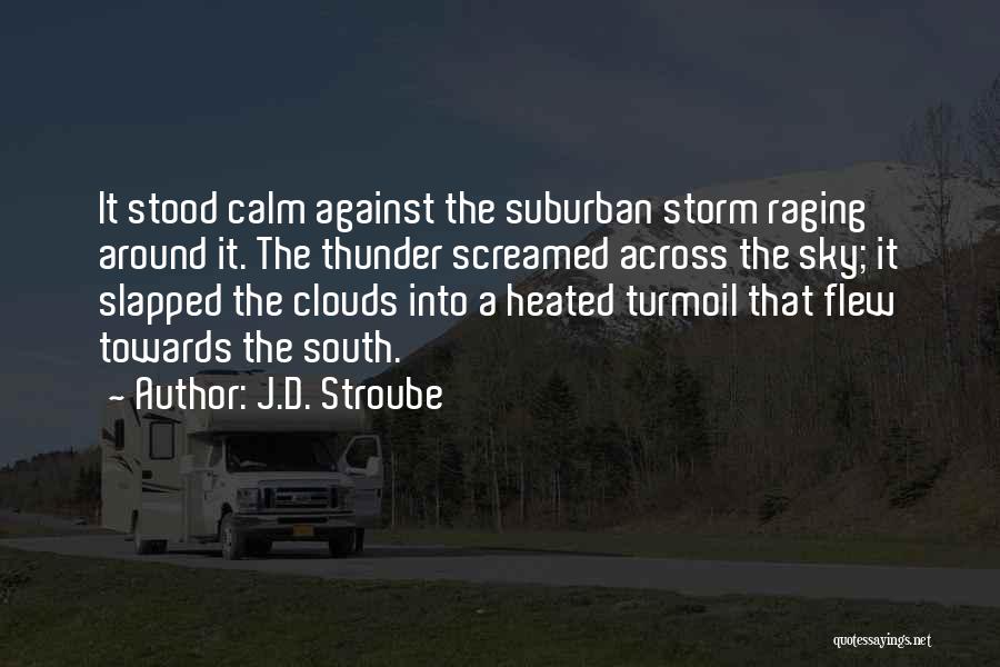 She Stood In The Storm Quotes By J.D. Stroube