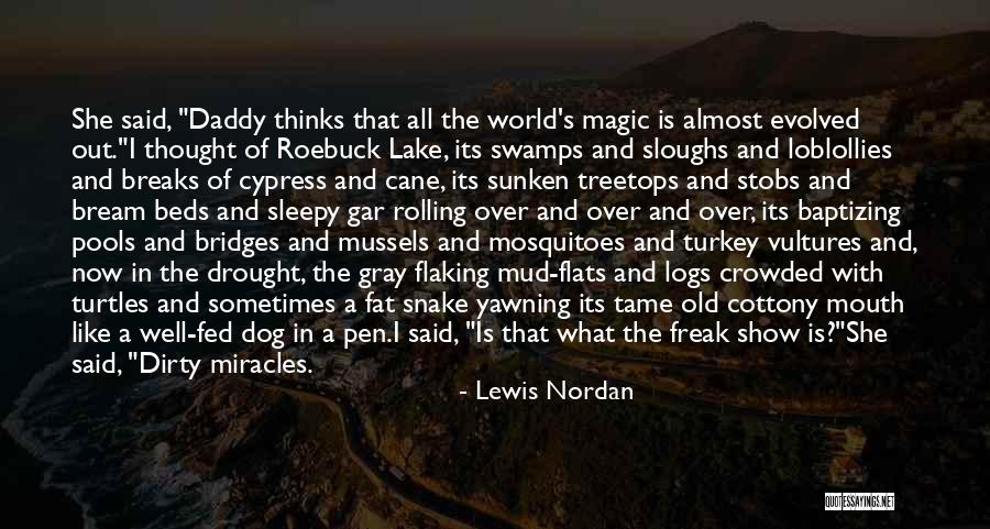 She Thinks She's All That Quotes By Lewis Nordan She Thinks She's All That Quotes By Lewis Nordan
