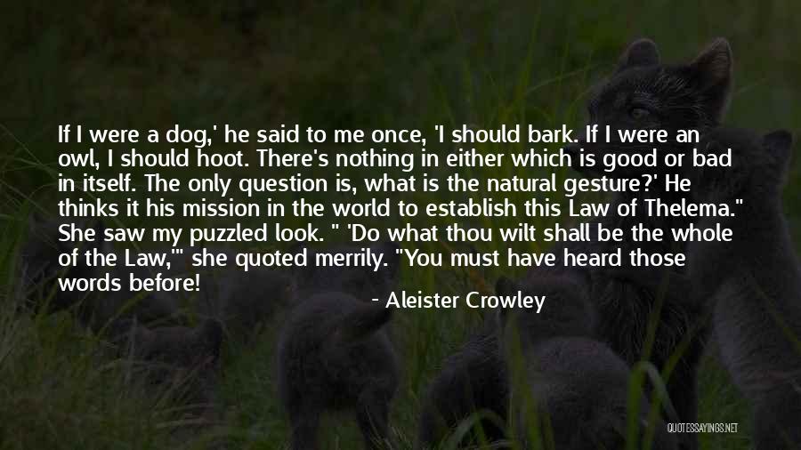 She Thinks The World Of You Quotes By Aleister Crowley