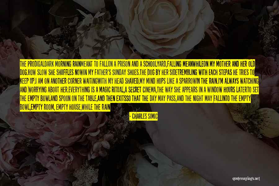 She Tries Quotes By Charles Simic She Tries Quotes By Charles Simic