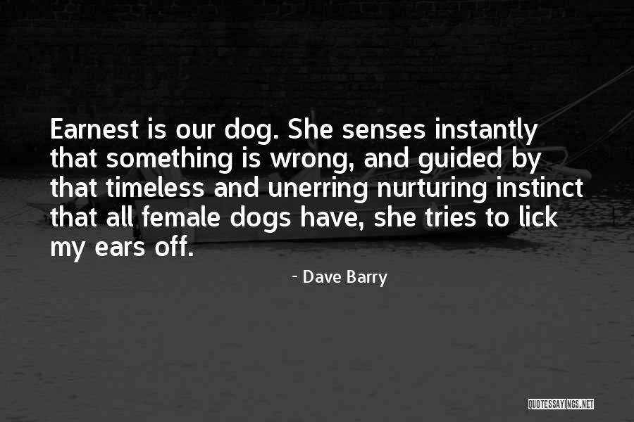 She Tries Quotes By Dave Barry