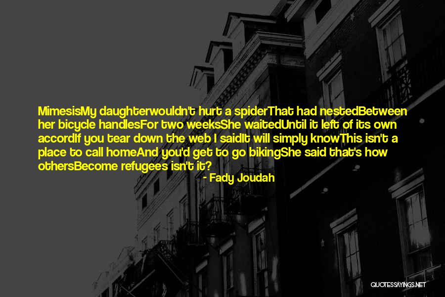 She Waited For You Quotes By Fady Joudah