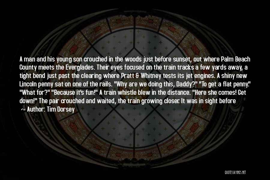 She Waited For You Quotes By Tim Dorsey