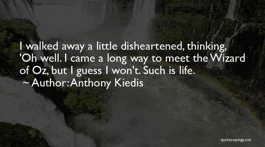 She Walked Into My Life Quotes By Anthony Kiedis
