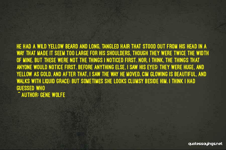 She Was Beautiful But Not Like Quotes By Gene Wolfe