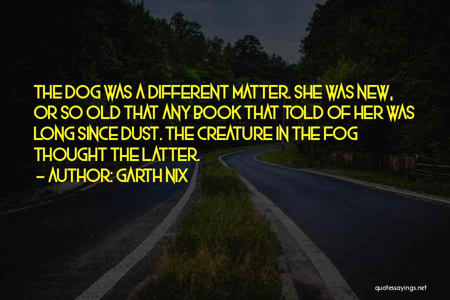 She Was Different Quotes By Garth Nix