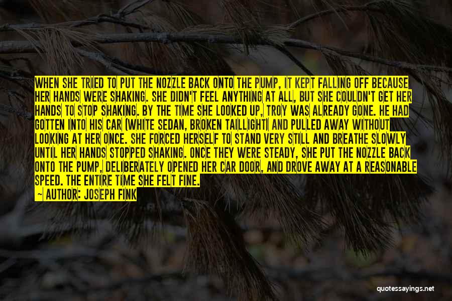 She Was Gone Quotes By Joseph Fink