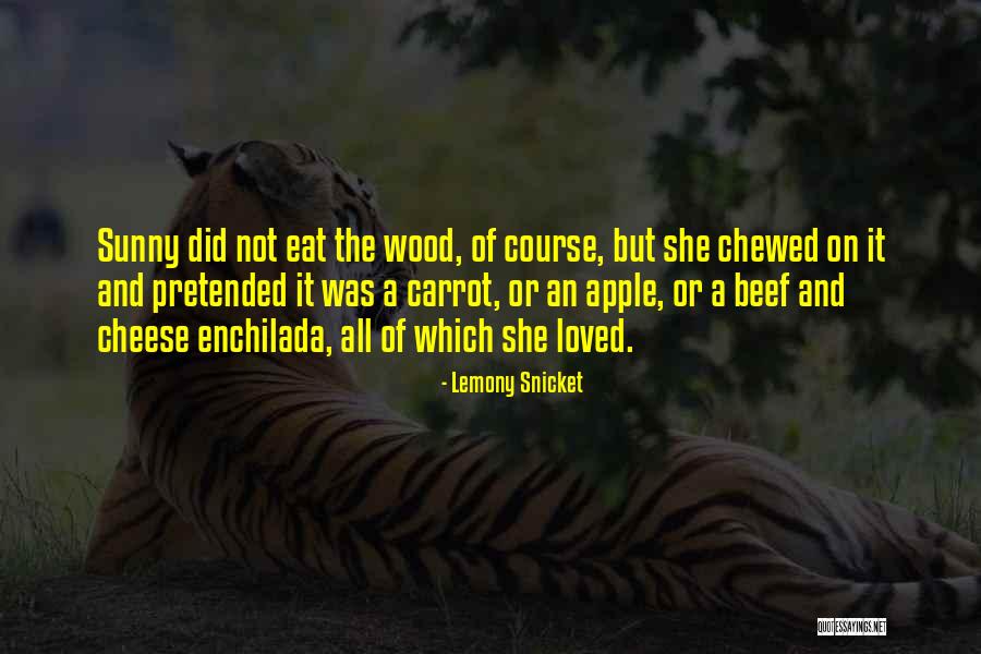 She Was Loved Quotes By Lemony Snicket