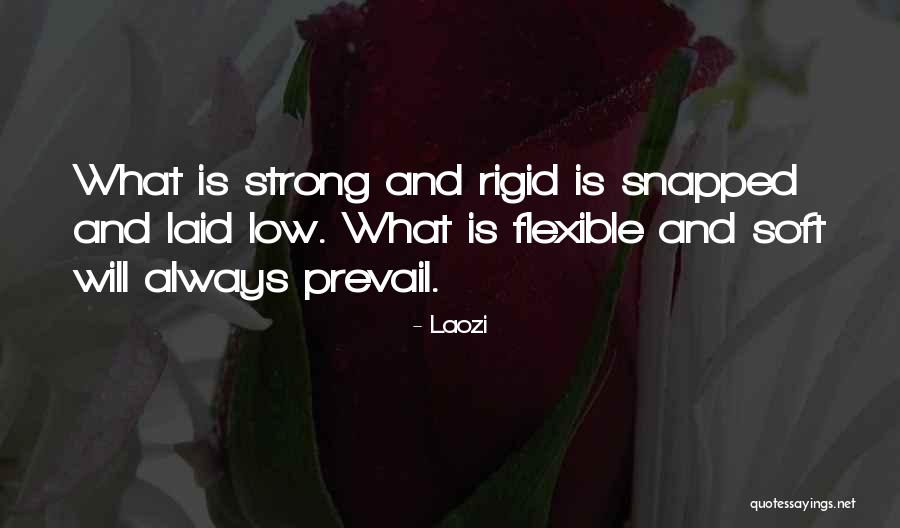 She Was Soft But Strong Quotes By Laozi She Was Soft But Strong Quotes By Laozi