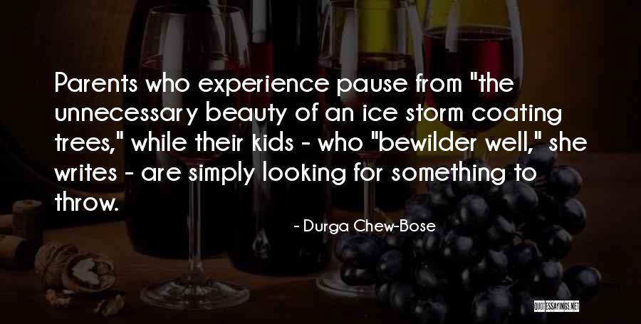 She Writes Quotes By Durga Chew-Bose