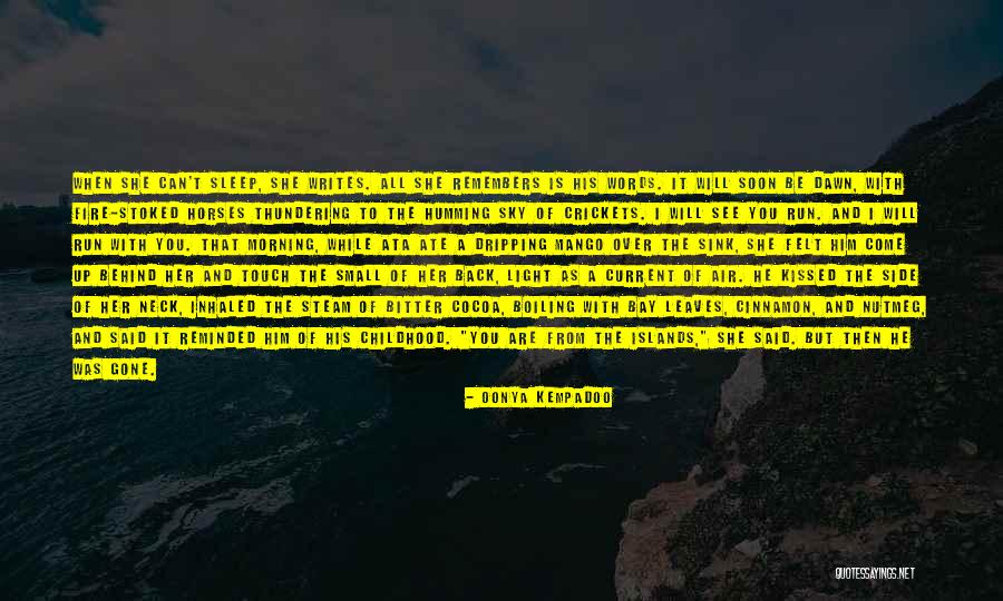 She Writes Quotes By Oonya Kempadoo She Writes Quotes By Oonya Kempadoo