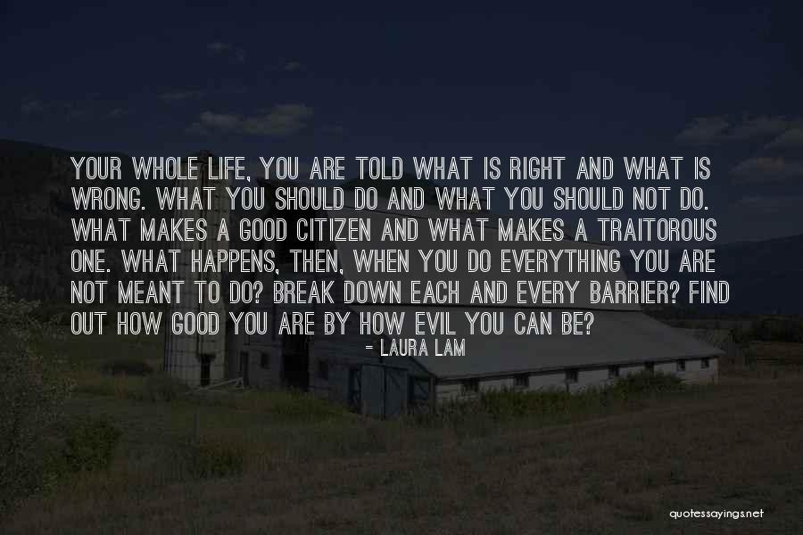 Shealey Mead Quotes By Laura Lam Shealey Mead Quotes By Laura Lam