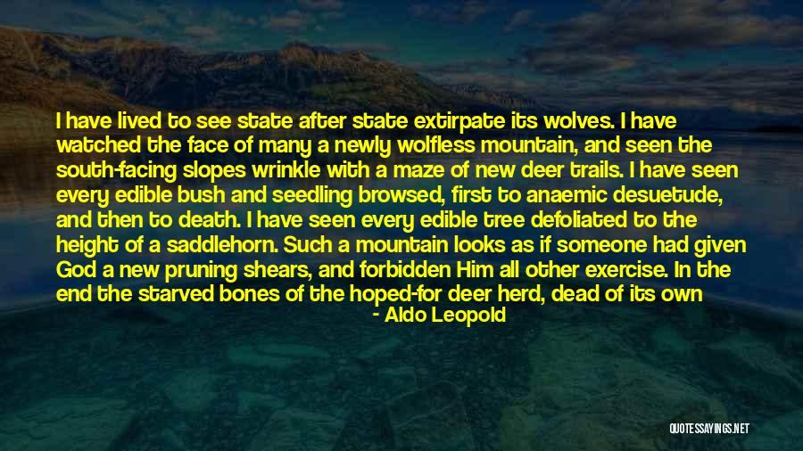 Shears Quotes By Aldo Leopold Shears Quotes By Aldo Leopold