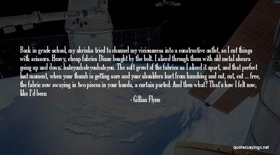 Shears Quotes By Gillian Flynn Shears Quotes By Gillian Flynn