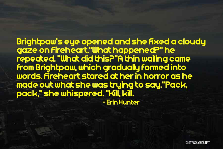 Shearson American Quotes By Erin Hunter Shearson American Quotes By Erin Hunter