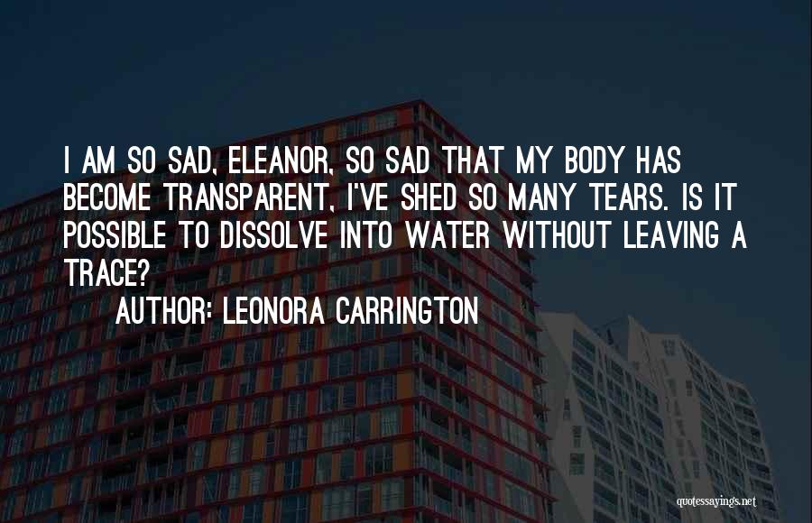 Shed So Many Tears Quotes By Leonora Carrington