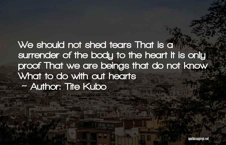 Shed So Many Tears Quotes By Tite Kubo