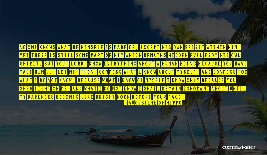 Shed Some Light Quotes By Augustine Of Hippo Shed Some Light Quotes By Augustine Of Hippo