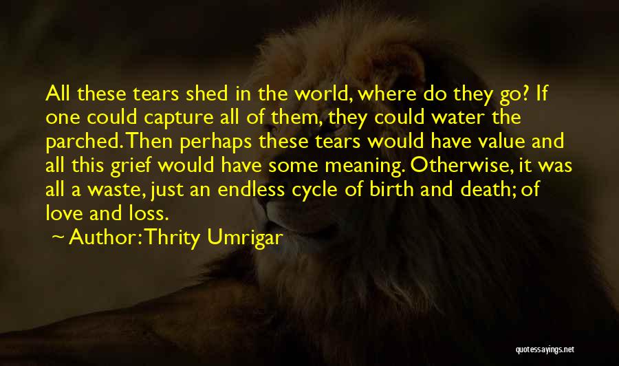 Shed Some Tears Quotes By Thrity Umrigar