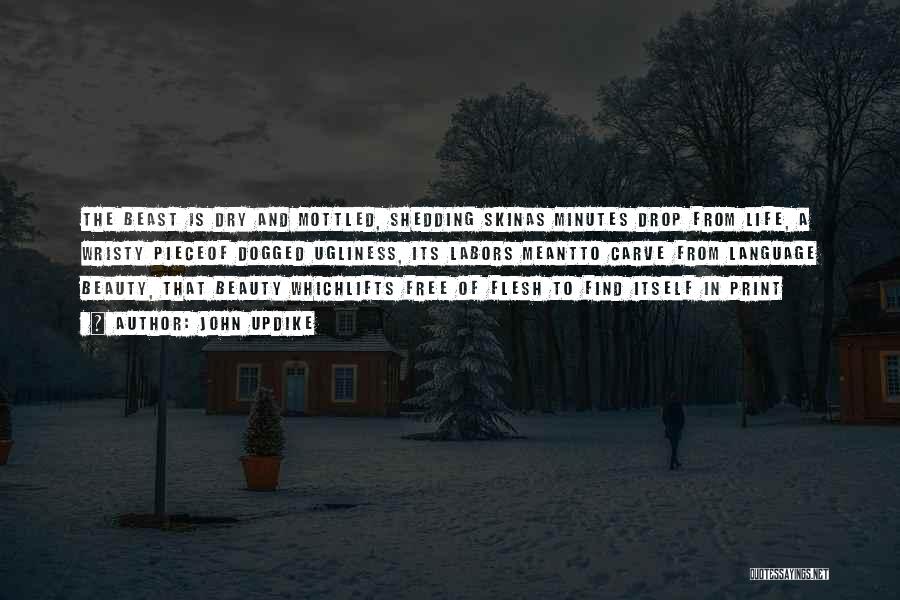 Shedding My Skin Quotes By John Updike Shedding My Skin Quotes By John Updike