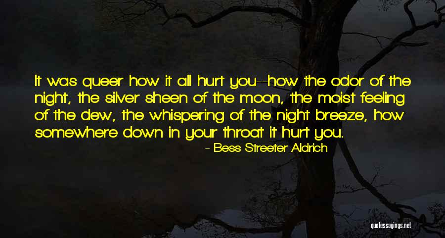 Sheen Quotes By Bess Streeter Aldrich