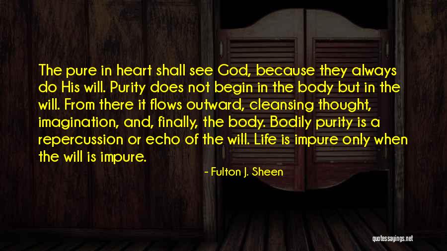 Sheen Quotes By Fulton J. Sheen