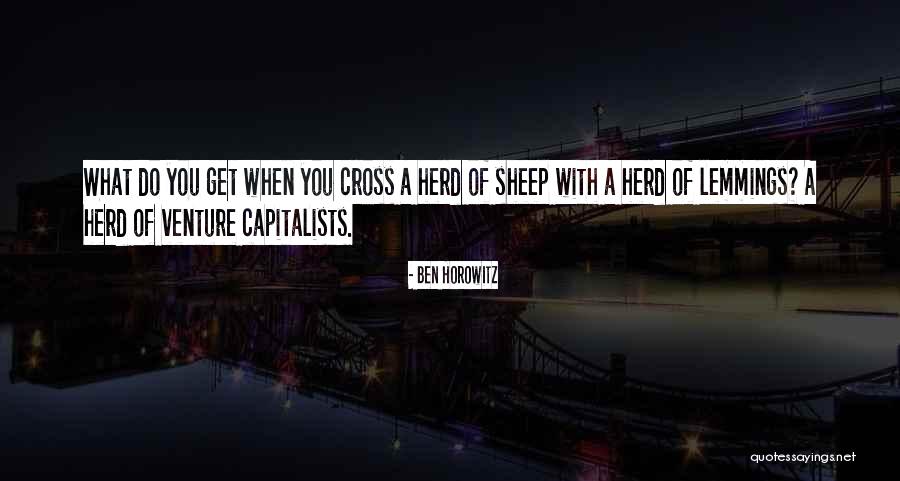 Sheep Herd Quotes By Ben Horowitz Sheep Herd Quotes By Ben Horowitz